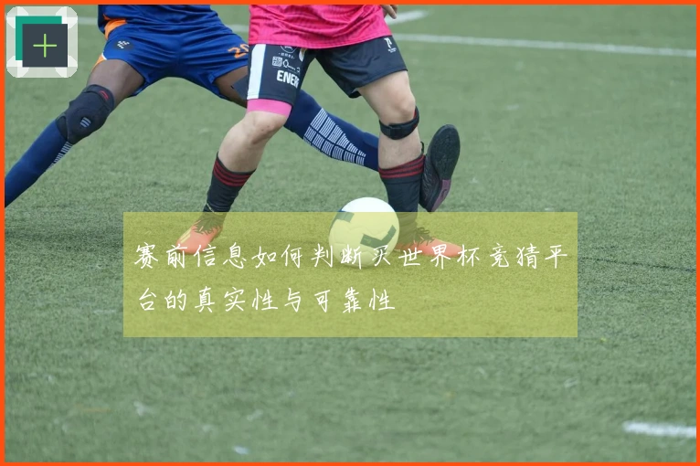 赛前信息如何判断买世界杯竞猜平台的真实性与可靠性