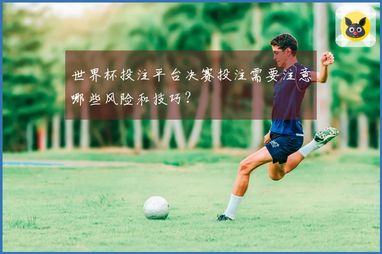 世界杯投注平台决赛投注需要注意哪些风险和技巧？