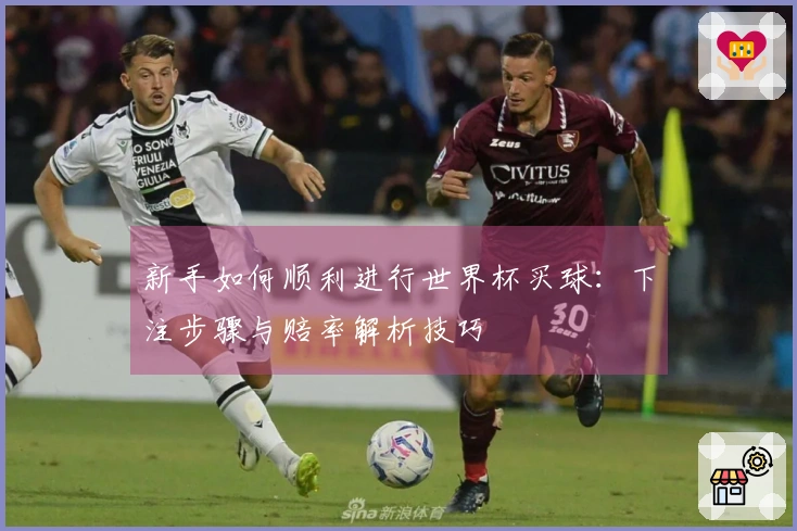 新手如何顺利进行世界杯买球：下注步骤与赔率解析技巧
