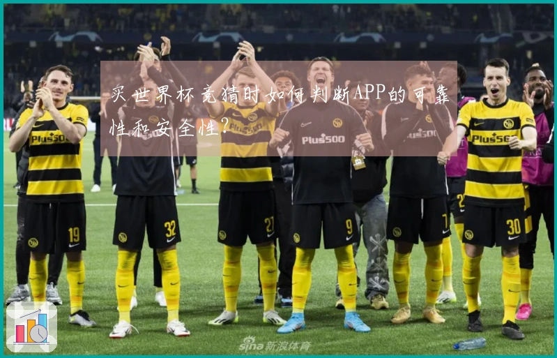 买世界杯竞猜时如何判断APP的可靠性和安全性？